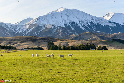 新西兰：环球房地产投资者的新天国？