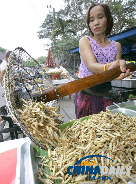 世界各地超级恐怖的虫子大餐（组图）