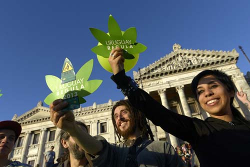 乌拉圭成全球首个大麻产业合法化国家