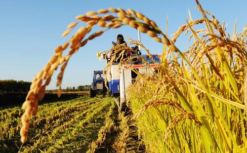 全球农业巨头积极寻求合并：行业重整将来临