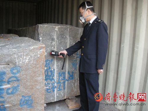 山东口岸首次检出有害生物冷杉短鞘天牛