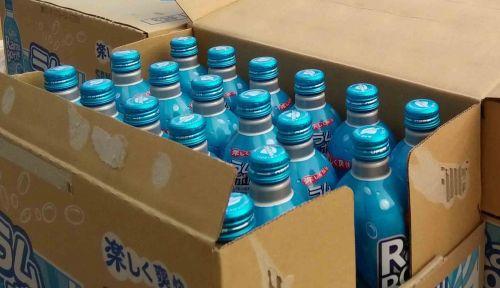山东口岸首次检出有害生物冷杉短鞘天牛
