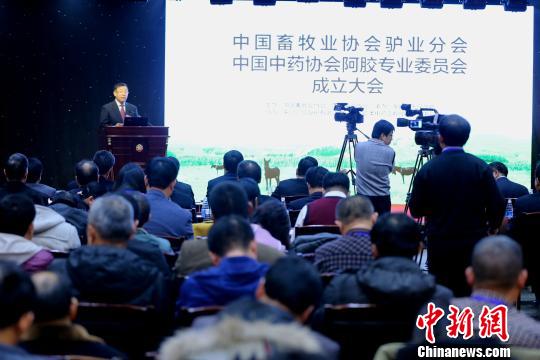 中国驴业协会在山东成立 毛驴“抱团”整合发展