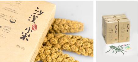 沙漠绿洲的守望者：任小米登陆天猫