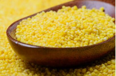 沙漠绿洲的守望者：任小米登陆天猫