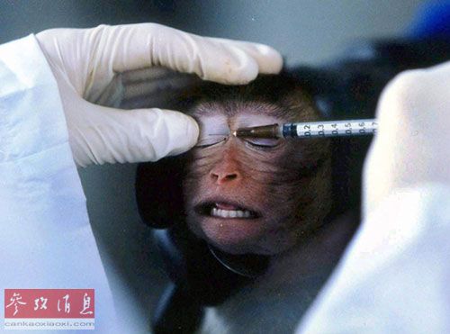 中国要求进口化妆品动物测试 部分商家拒绝在华销售