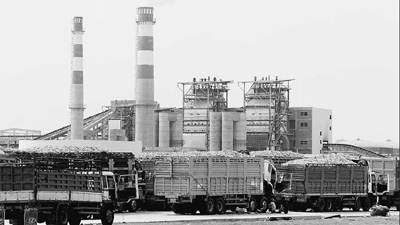 中企在柬建设的亚洲最大制糖厂投产