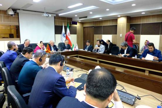 蓝迪国际智库平台代表团出席中国伊朗企业合作研讨会