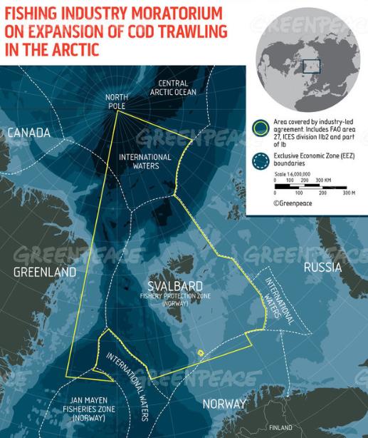 麦当劳等跨国企业承诺保护北冰洋鱼类