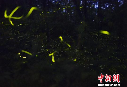 四川天台山创5A景区实施改造为萤火虫让路