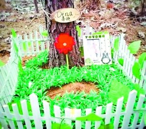 90后宠物殡葬师：卖80万婚房为宠物“善终”