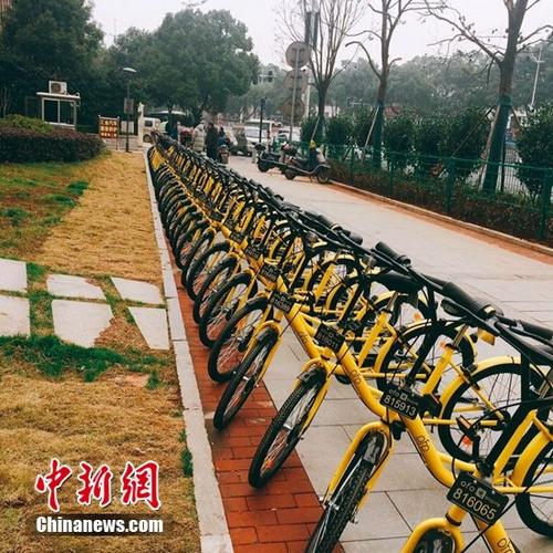 共享单车进入城市攻防战 ofo上海试点“免押金”