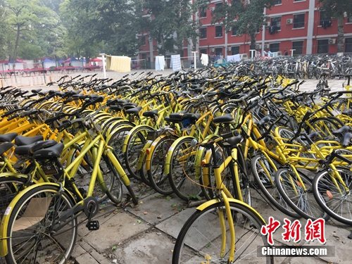资料图。北京某所高校内的共享单车数量惊人。<a target='_blank' href='http://www.chinanews.com/' _fcksavedurl='http://www.chinanews.com/' ></table><p align=