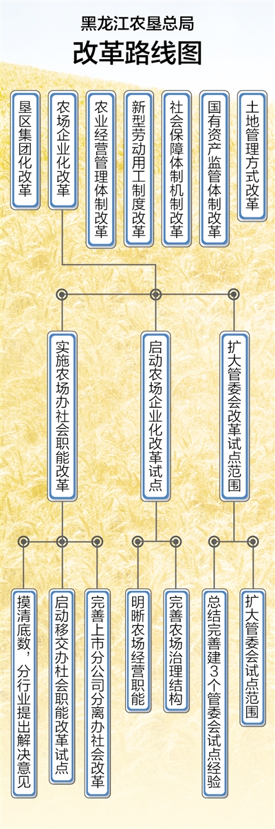 北大荒的改革路线图（聚焦供给侧改革·国企调研（下））