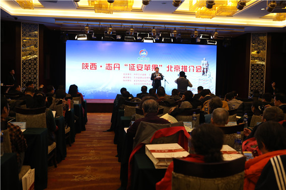 陕西·志丹“延安苹果”推介会在北京召开