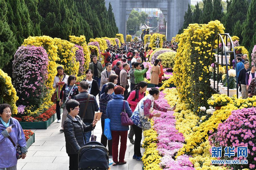 广州：灯海花城向世界展示“财富美”