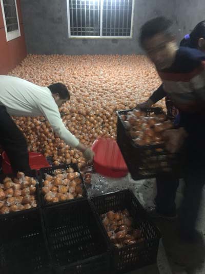 被媒体报道2天后，衢州百万滞销椪柑在大润发上架了
