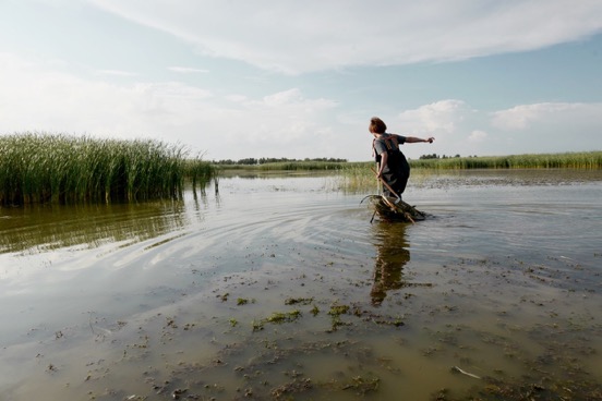 90后女孩王春丽守护向海自然保护区 马云马化腾写信为她点赞