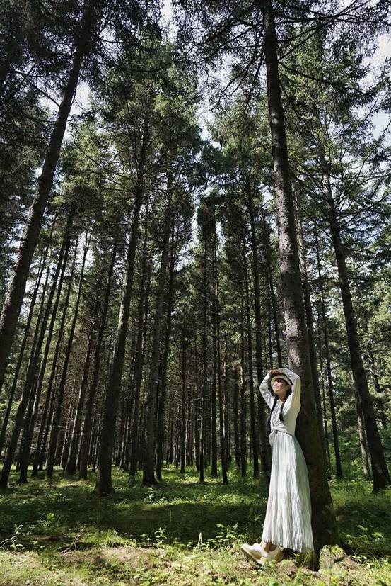 古道驿站换新貌,黑土地上现“西湖”