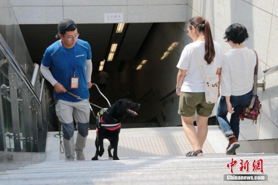 导盲犬“亮相”西安地铁站 首只即将免费交付盲人使用