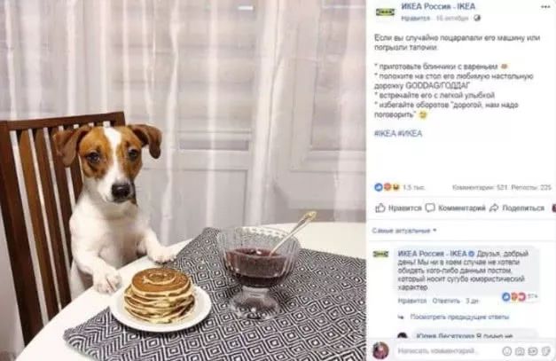 宜家在俄罗斯闯祸：广告被指将女性比作狗