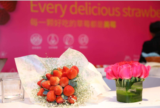 首届国际草莓品牌大会暨溧水草莓-美莓品牌发布会在京召开