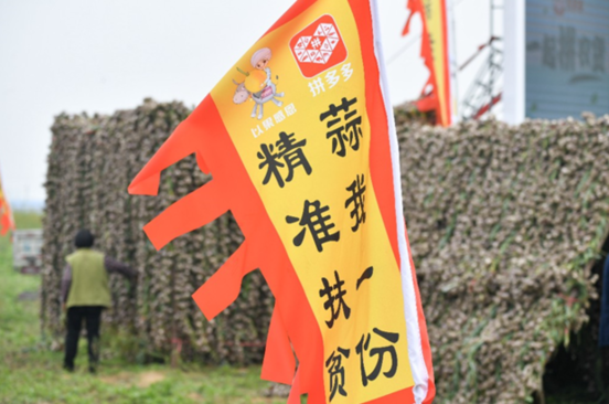 深入500产地投100亿，拼多多公布“一起拼农货”扶贫助农计划