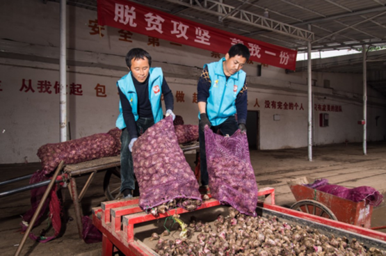 深入500产地投100亿，拼多多公布“一起拼农货”扶贫助农计划