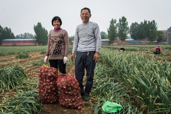 深入500产地投100亿，拼多多公布“一起拼农货”扶贫助农计划