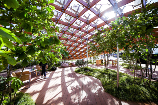 太阳能打造绿色建筑，清洁能源筑造未来庭园家