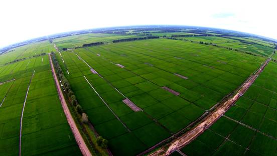 首农双河农场30万吨稻谷加工生产线正式投产